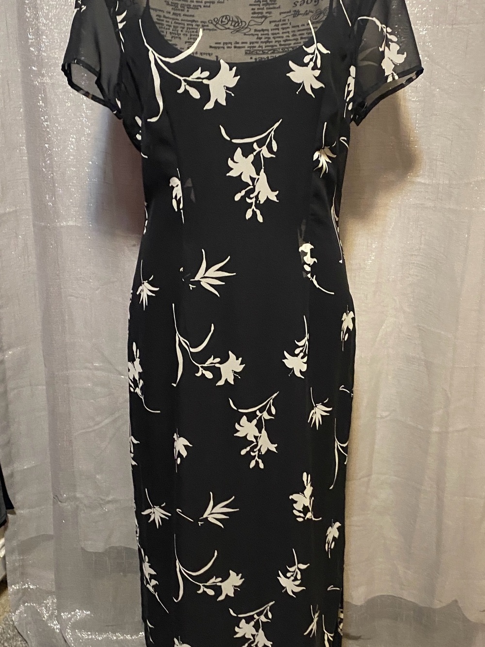 Mica Asian Style Sheer Dress with Short Sleeves